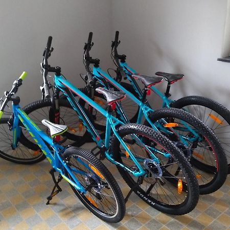 Familien-Sportappartements Wetzel Menzenschwand-Hinterdorf Buitenkant foto