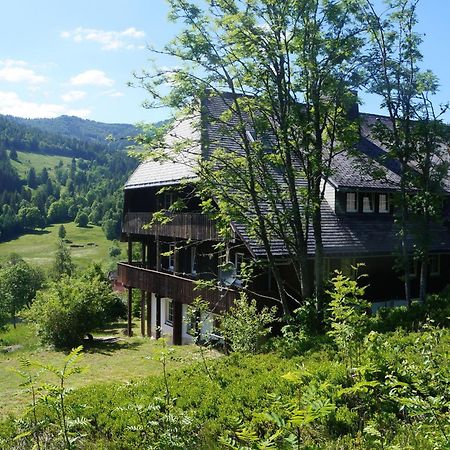Familien-Sportappartements Wetzel Menzenschwand-Hinterdorf Buitenkant foto