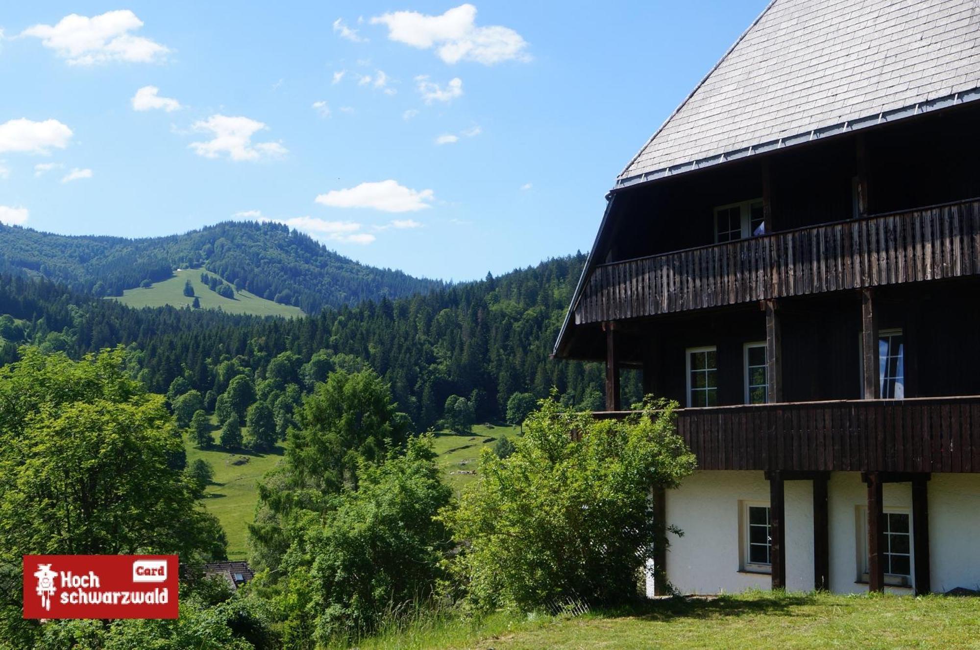 Familien-Sportappartements Wetzel Menzenschwand-Hinterdorf Buitenkant foto
