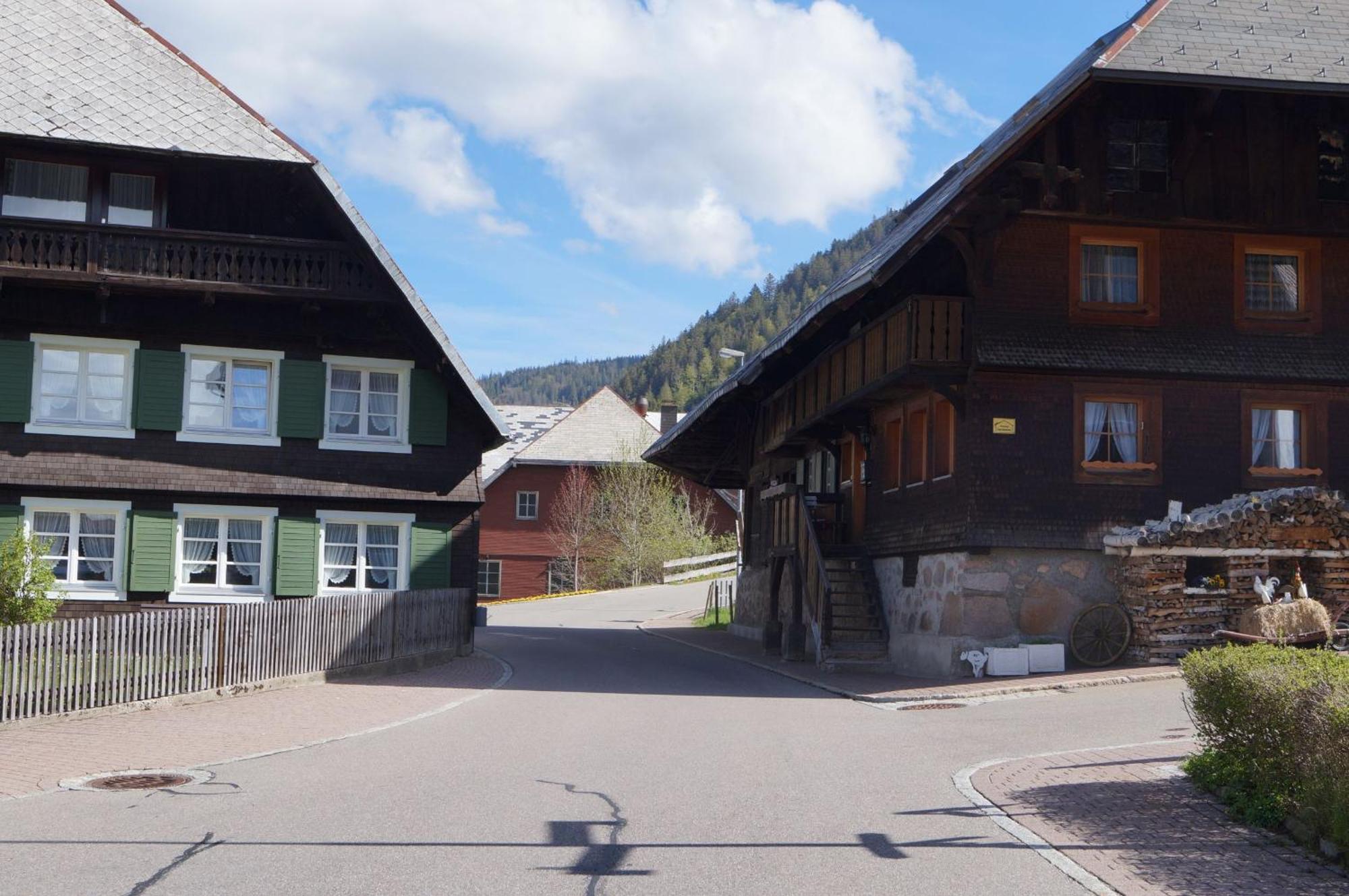 Familien-Sportappartements Wetzel Menzenschwand-Hinterdorf Buitenkant foto