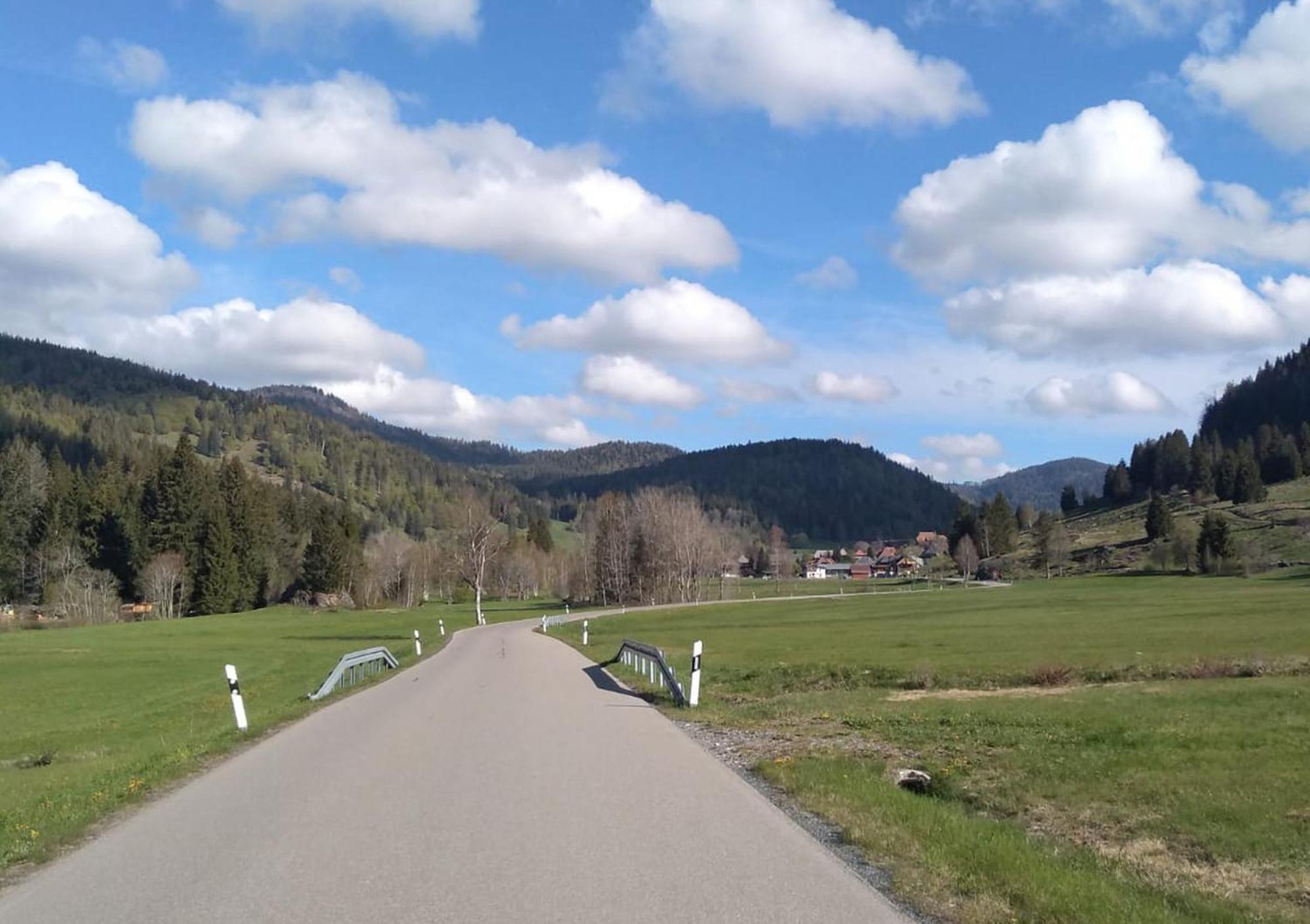 Familien-Sportappartements Wetzel Menzenschwand-Hinterdorf Buitenkant foto