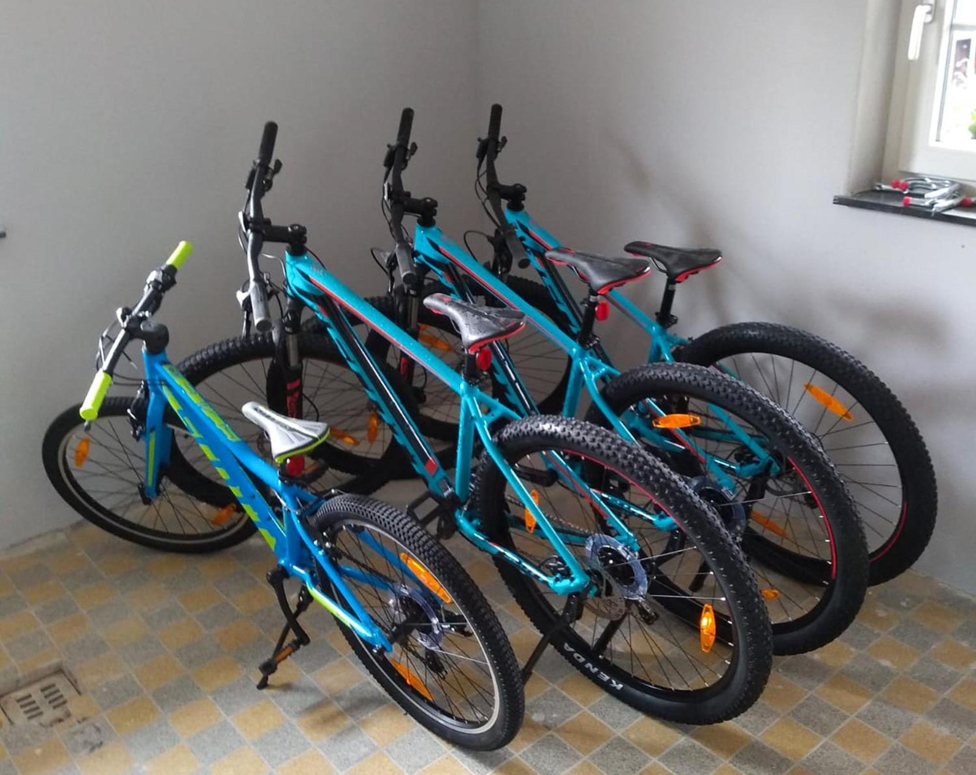 Familien-Sportappartements Wetzel Menzenschwand-Hinterdorf Buitenkant foto