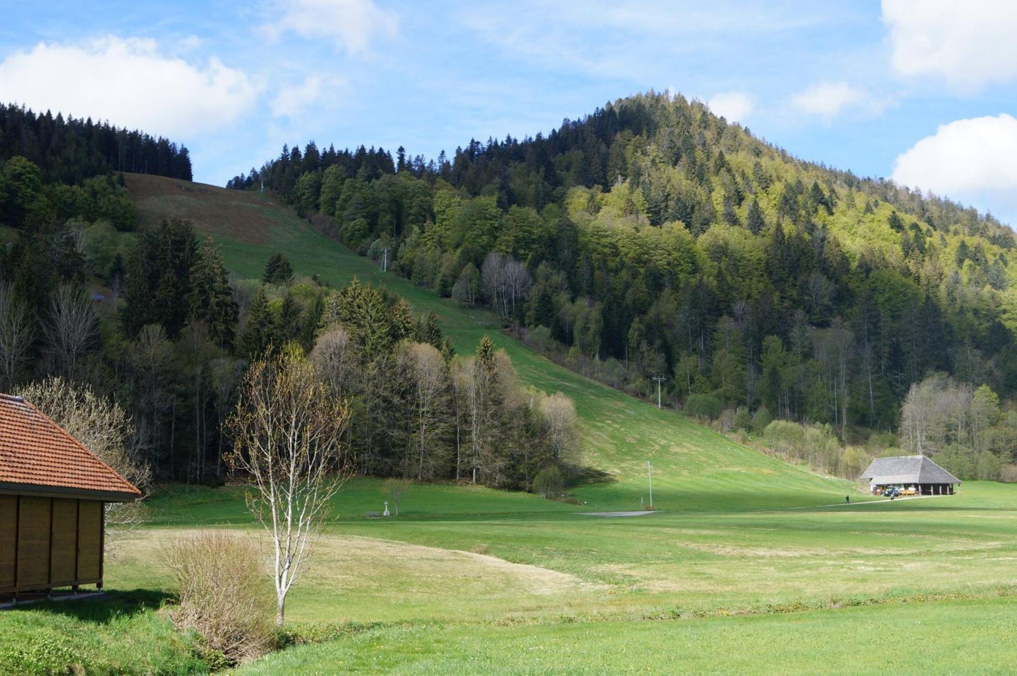 Familien-Sportappartements Wetzel Menzenschwand-Hinterdorf Buitenkant foto