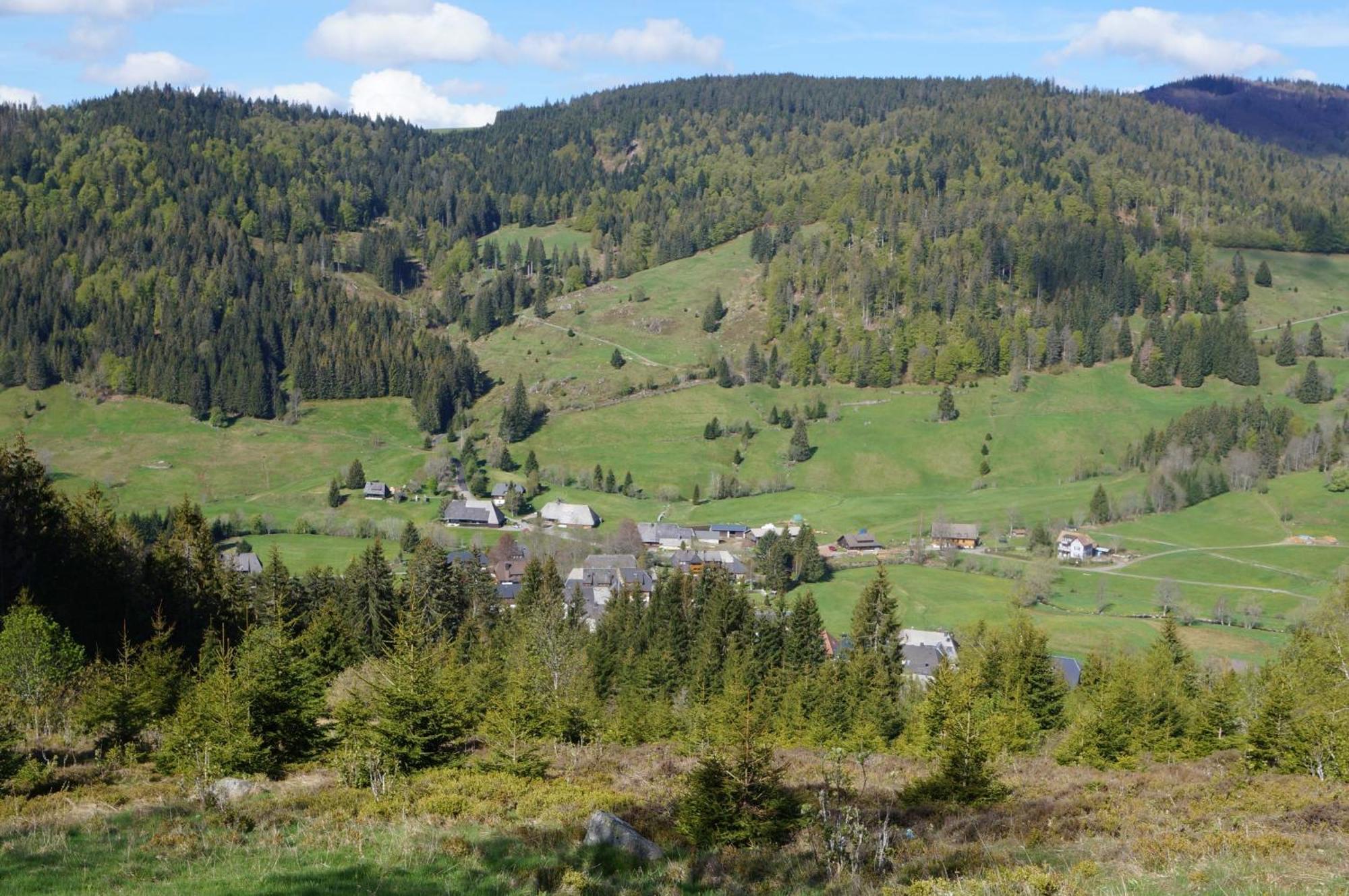 Familien-Sportappartements Wetzel Menzenschwand-Hinterdorf Buitenkant foto