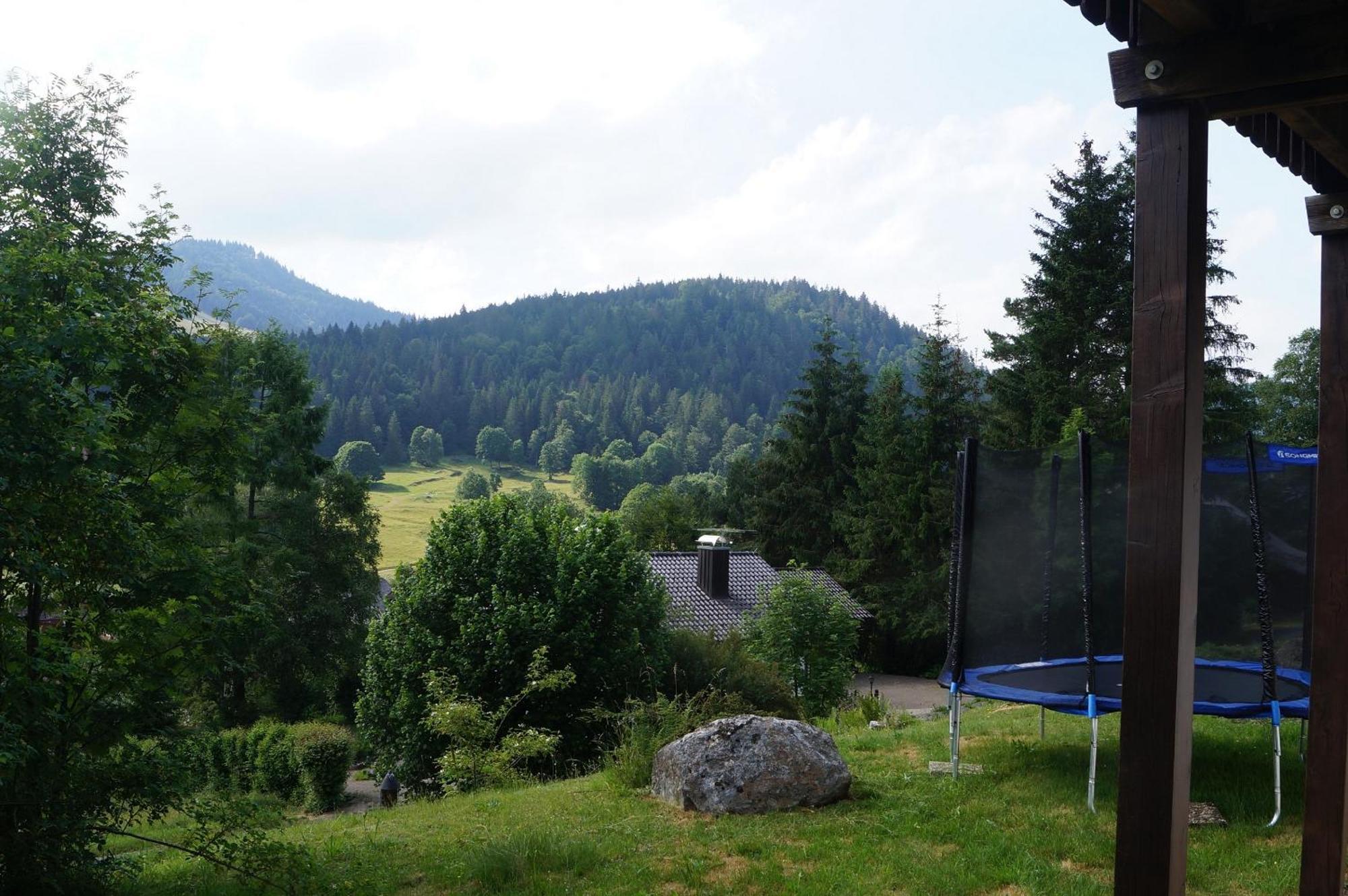 Familien-Sportappartements Wetzel Menzenschwand-Hinterdorf Buitenkant foto