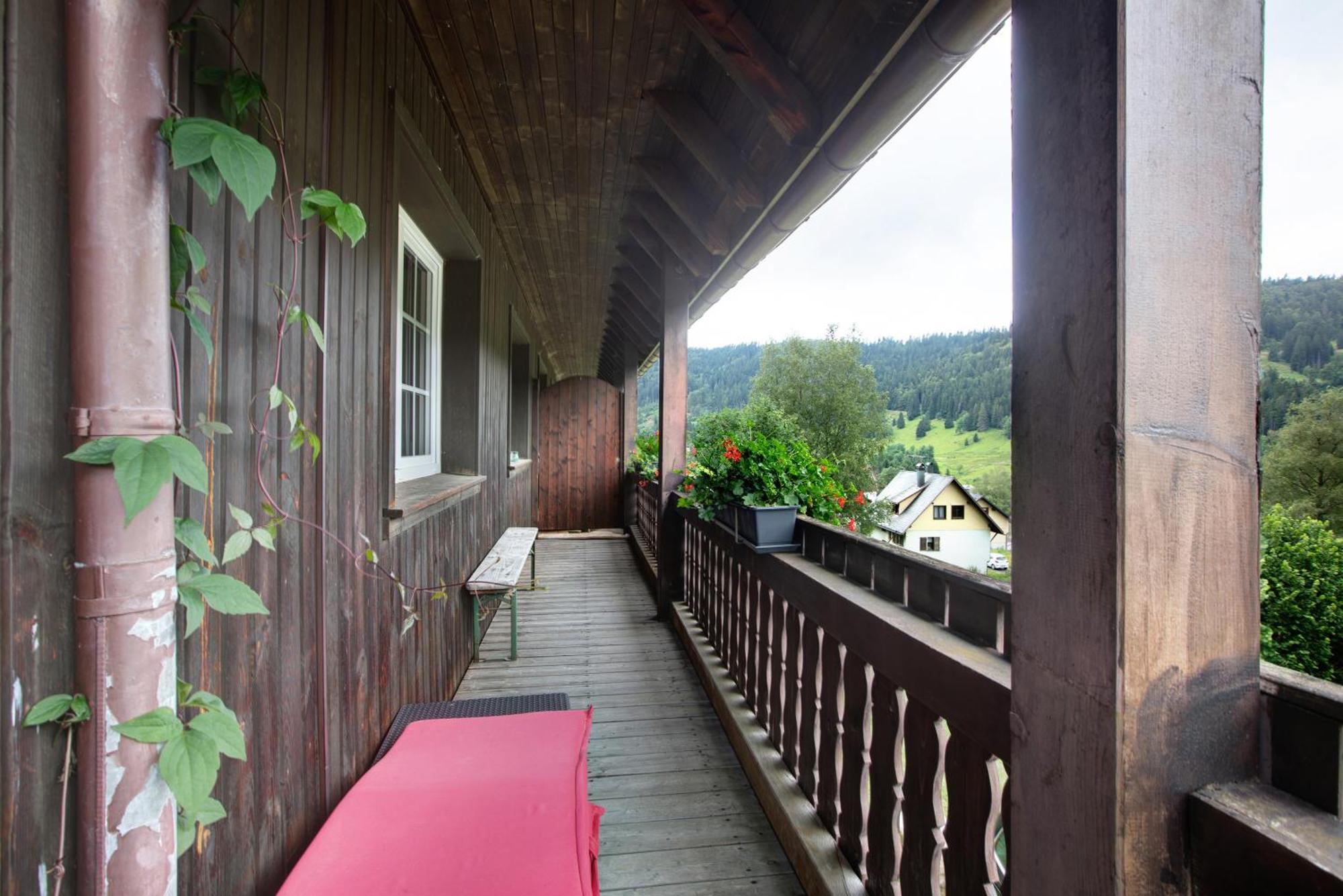 Familien-Sportappartements Wetzel Menzenschwand-Hinterdorf Buitenkant foto