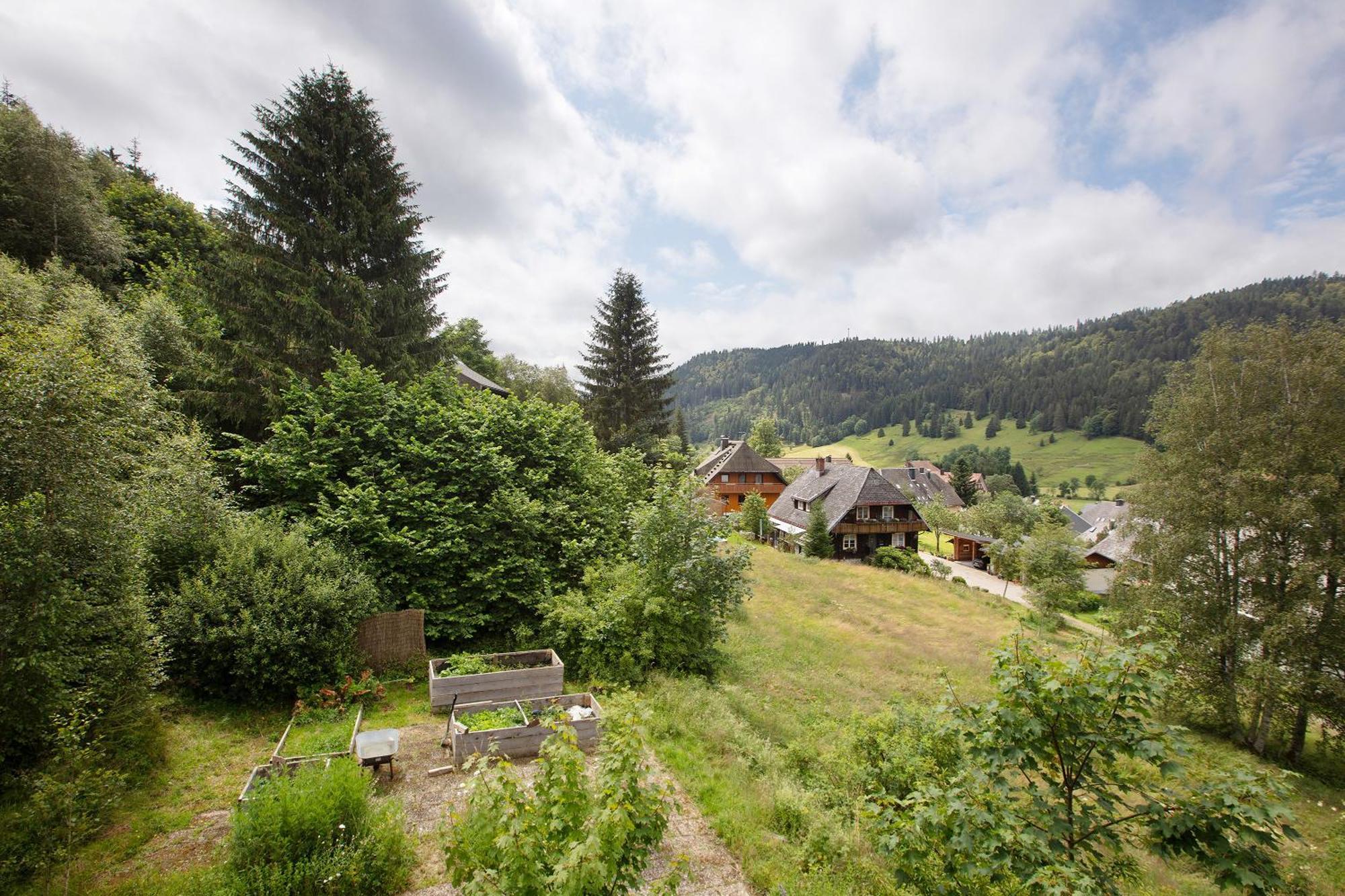 Familien-Sportappartements Wetzel Menzenschwand-Hinterdorf Buitenkant foto