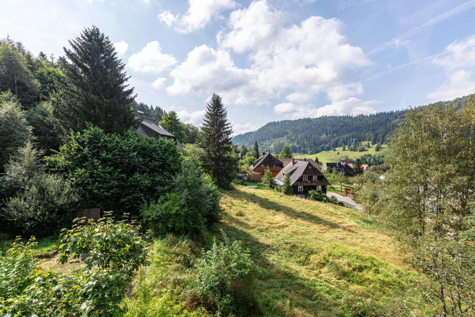 Familien-Sportappartements Wetzel Menzenschwand-Hinterdorf Buitenkant foto